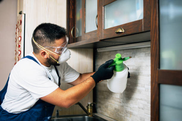 Best Residential Pest Control  in River Ridge, LA