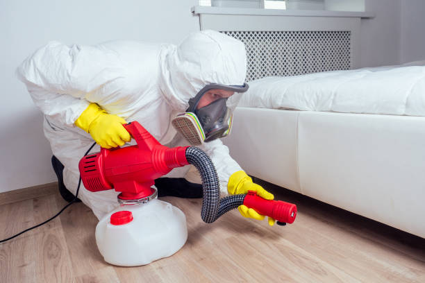 Best Wasp Removal Services  in River Ridge, LA